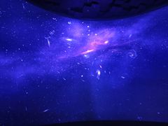 -贝林大翅鲸简餐厅(国家海洋博物馆店)