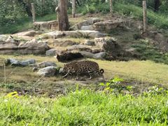 -北京野生动物园