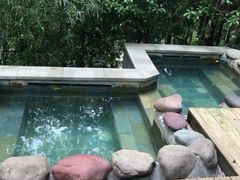 -中铁花水湾温泉酒店(大邑店)