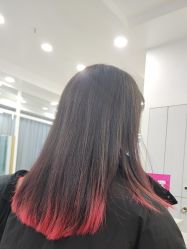 -YESIDO椰岛造型