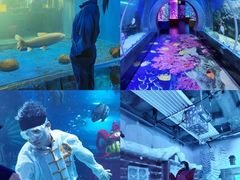 -顺德南宏海立方海洋公园