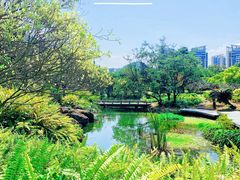 -南沙蒲洲花园