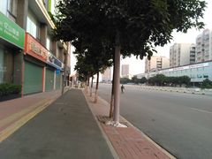 -黄埔华苑酒家(黄埔店)