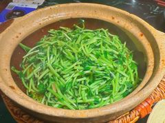 川香焗豆苗-廖川菜(太阳宫店)