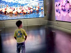 -罗红摄影艺术馆