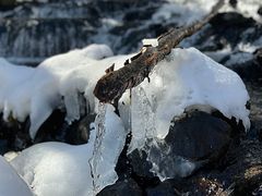 -峡谷浮石林景区