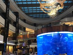 -OPEN開全日自助餐厅·西餐·海鲜(佛山希尔顿酒店)