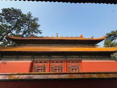 -普乐寺