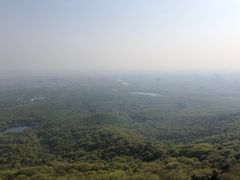 -紫金山山顶公园
