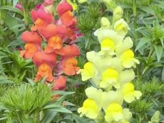 -梅州天地人花园酒店(梅县人民广场店)