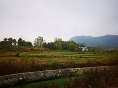 -黟县屏山村