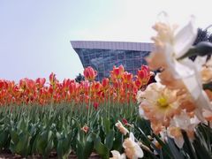 -石家庄市植物园