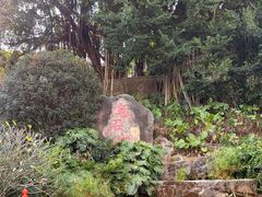 -乌山风景区