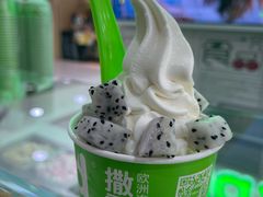 -Salud撒露欧洲冻酸奶(五道口购物中心店)
