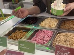 -Salud撒露欧洲冻酸奶(五道口购物中心店)