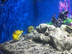 -绍兴梦享海洋公园