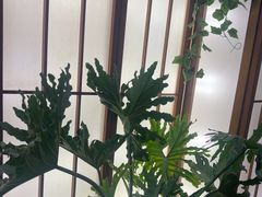 -桃夭日式料理(国信店)
