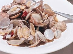 辣炒小蛤蜊-船歌·鱼水饺青岛菜(闽江二路店)
