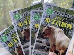 -秦皇岛野生动物园
