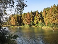 -溱湖国家湿地公园