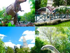 -海合安武汉极地海洋公园