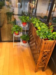 点击看大图 -爱儿美儿童摄影(朝阳公园店)
