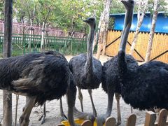 -广州融创文旅城