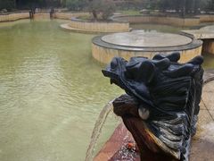 -三江森林温泉度假区