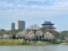-海珠湖公园