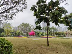 -广州珠江公园