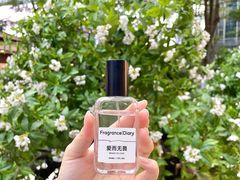-深圳湾万象城