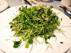 香椿苗核桃仁-紫玉食府