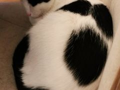 -么么咖啡(燕郊店)