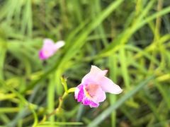 -东莞植物园