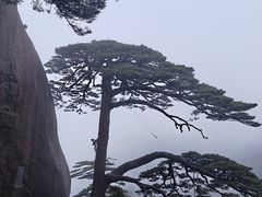-黄山白云宾馆