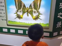 -上海昆虫博物馆