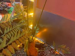 -华润万家超市(锦江翡翠城店)