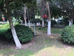 -常州古运河南大街文化旅游区-人民公园