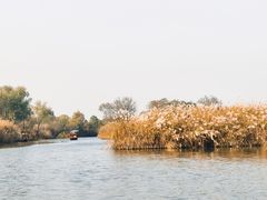 -西溪国家湿地公园