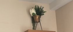 -和伊母婴护理中心·全套房(金山店)