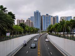 -中澳友谊花园