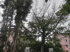 -广州神农草堂中医药博物馆