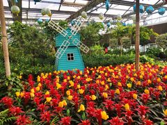 -南宫五洲植物乐园