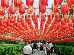 -大槐树寻根祭祖园