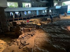 -自贡恐龙博物馆