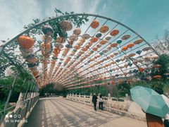 -渭南桃花源民俗文化园