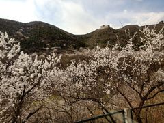 -黄土店站