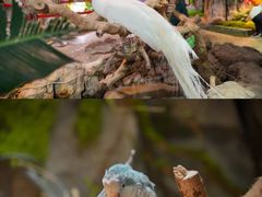 -正佳雨林生态植物园