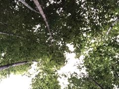 -兴福老面馆(寺路街店)