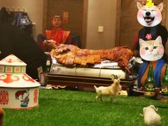 -蒙古人烤羊大师(工农大路创始店)